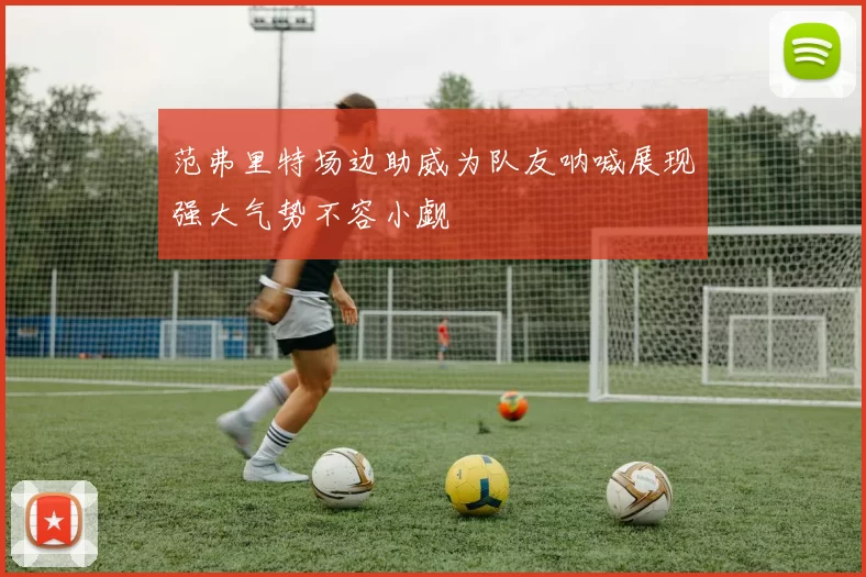 范弗里特场边助威为队友呐喊展现强大气势不容小觑